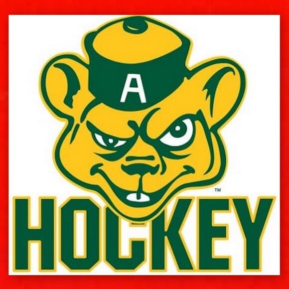 University of Alberta Vintage Golden Bears never worn Varsity Line Hockey Jersey - Picture 8 of 16